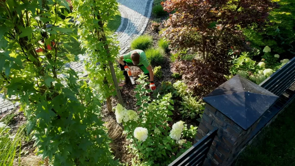 garden and landscaping maintenance in pretoria