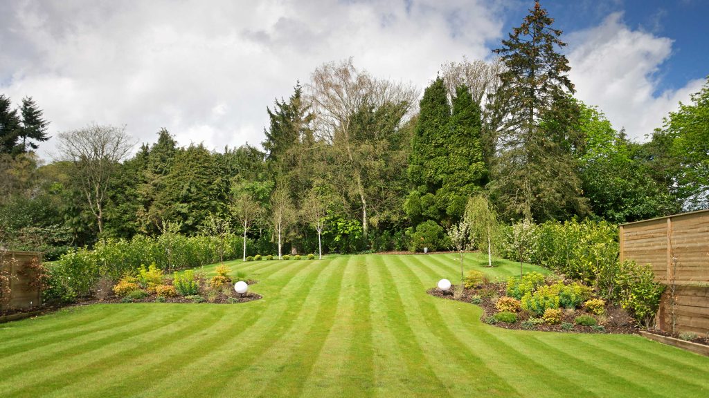 garden view